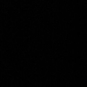 Meet your Posher, Hector